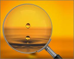 Magnifying Glass