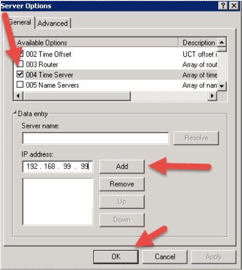 Server Options Window Server Options Window