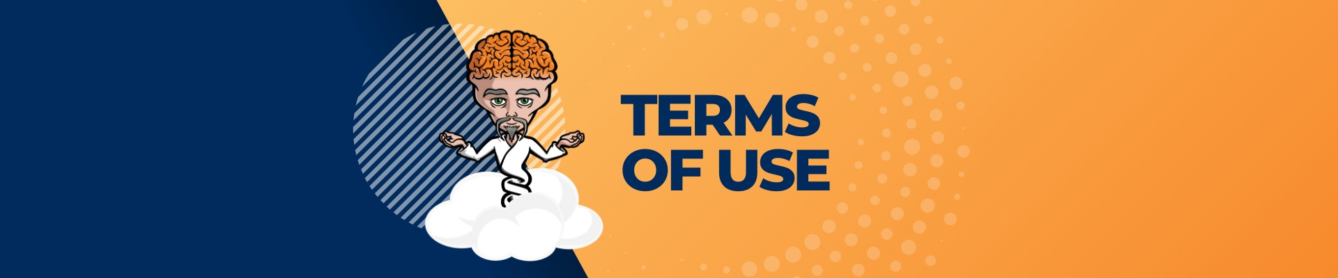 terms of use